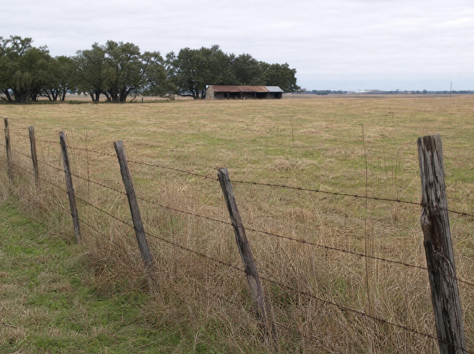 A Texas farmstead and weathered fence line at the edge of a proposed right-of-way, open land and a low farm structure in the distance under even daylight