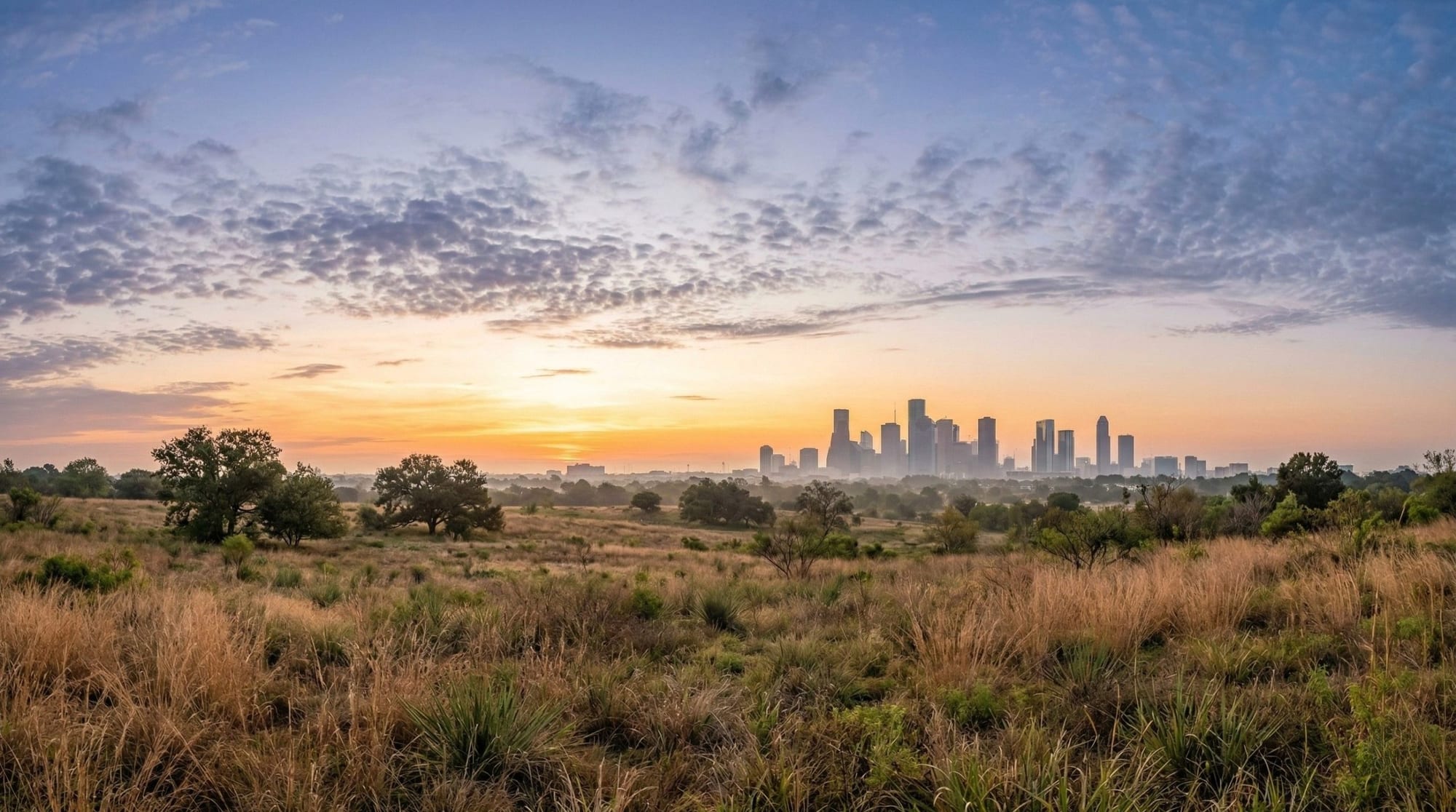 The downtown Houston skyline at golden hour seen across an open Texas prairie of tall grass and scattered live oaks