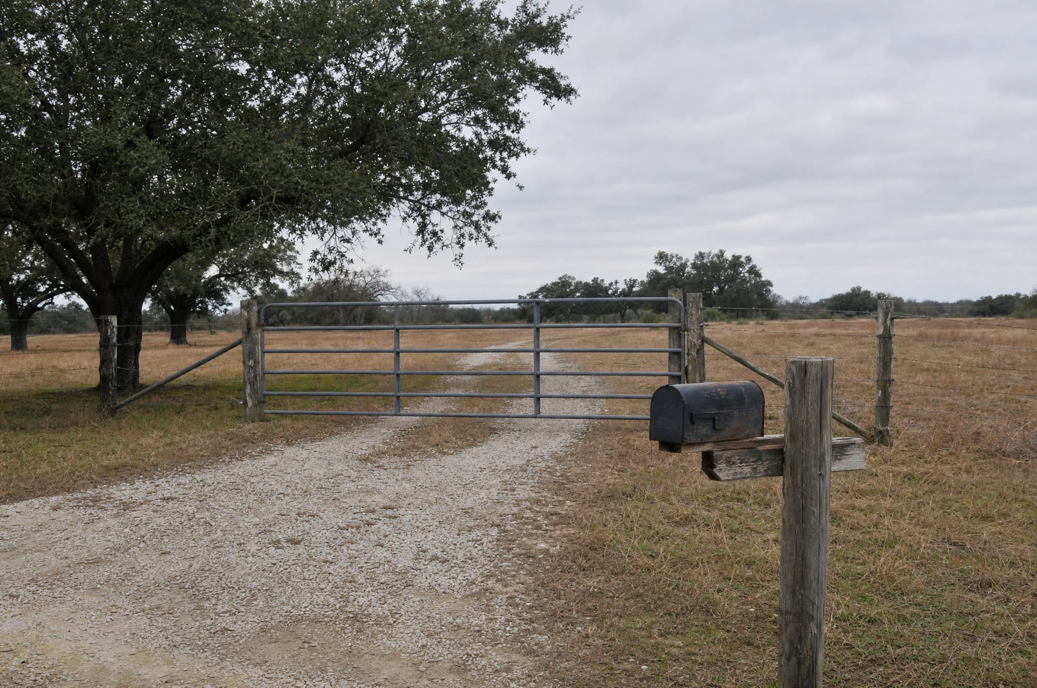 The gated gravel entrance to a private rural Fort Bend County property, with a mailbox, a barbed-wire fence, and a live oak under an overcast sky
