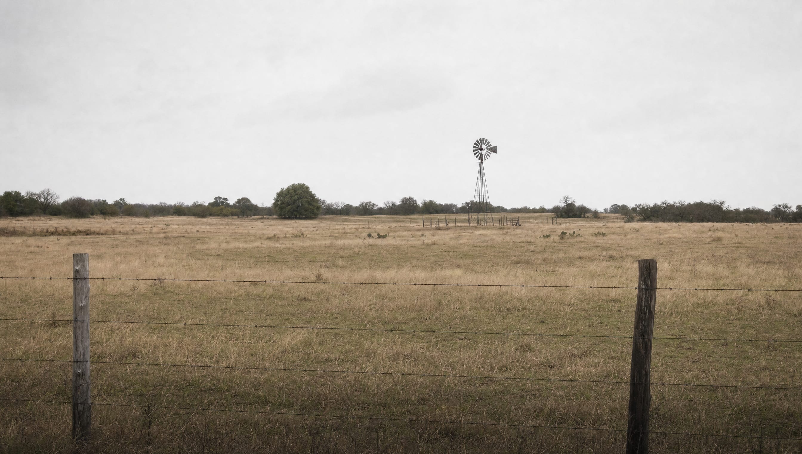 Flat open Texas ranchland stretching to a distant tree line and an old windmill, with a fence line crossing the foreground under a pale sky