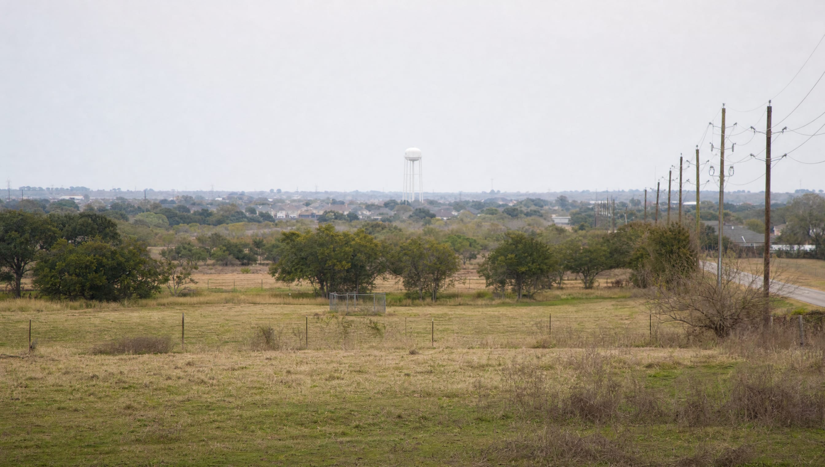 The flat Greater Houston coastal plain of open fields and scattered live oaks, with a distant water tower and town rooftops on the horizon
