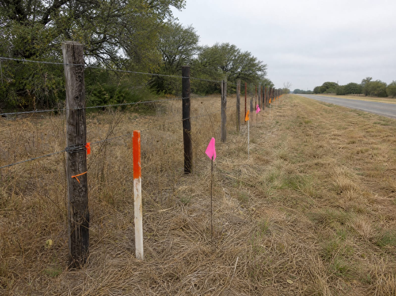 Orange survey stakes and pink and orange right-of-way marker flags along a cedar-post fence at a Texas property boundary beside a rural road