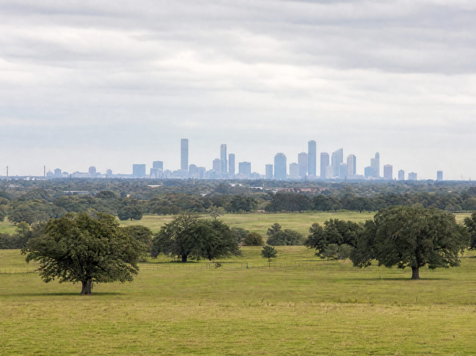 A wide Texas view of open Fort Bend County pastureland and live oaks in the foreground with the distant downtown Houston skyline low on the horizon under a soft sky, signaling broad regional reach