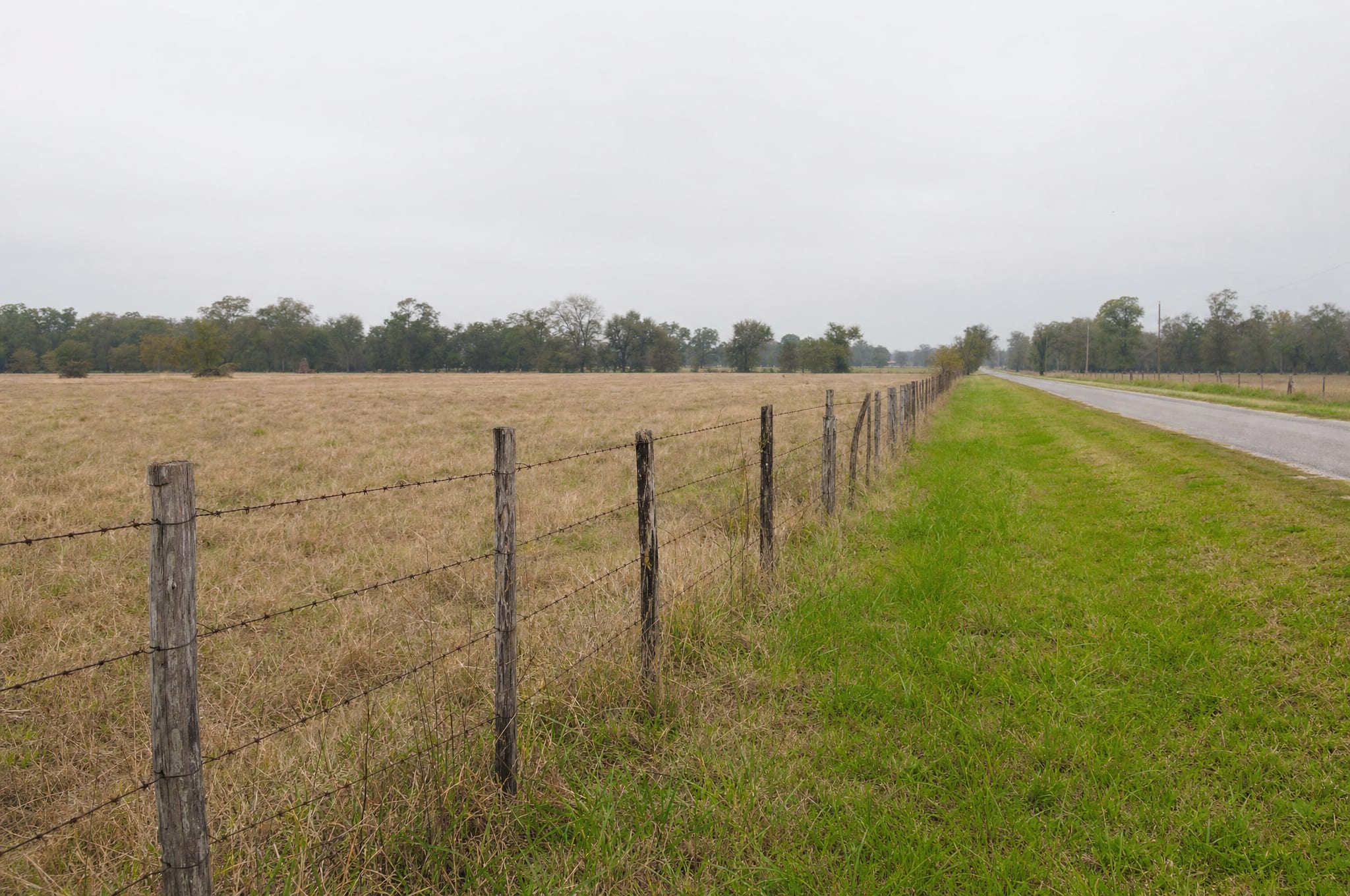 A flat rural Fort Bend County parcel along a barbed-wire fence beside a county road under an overcast sky