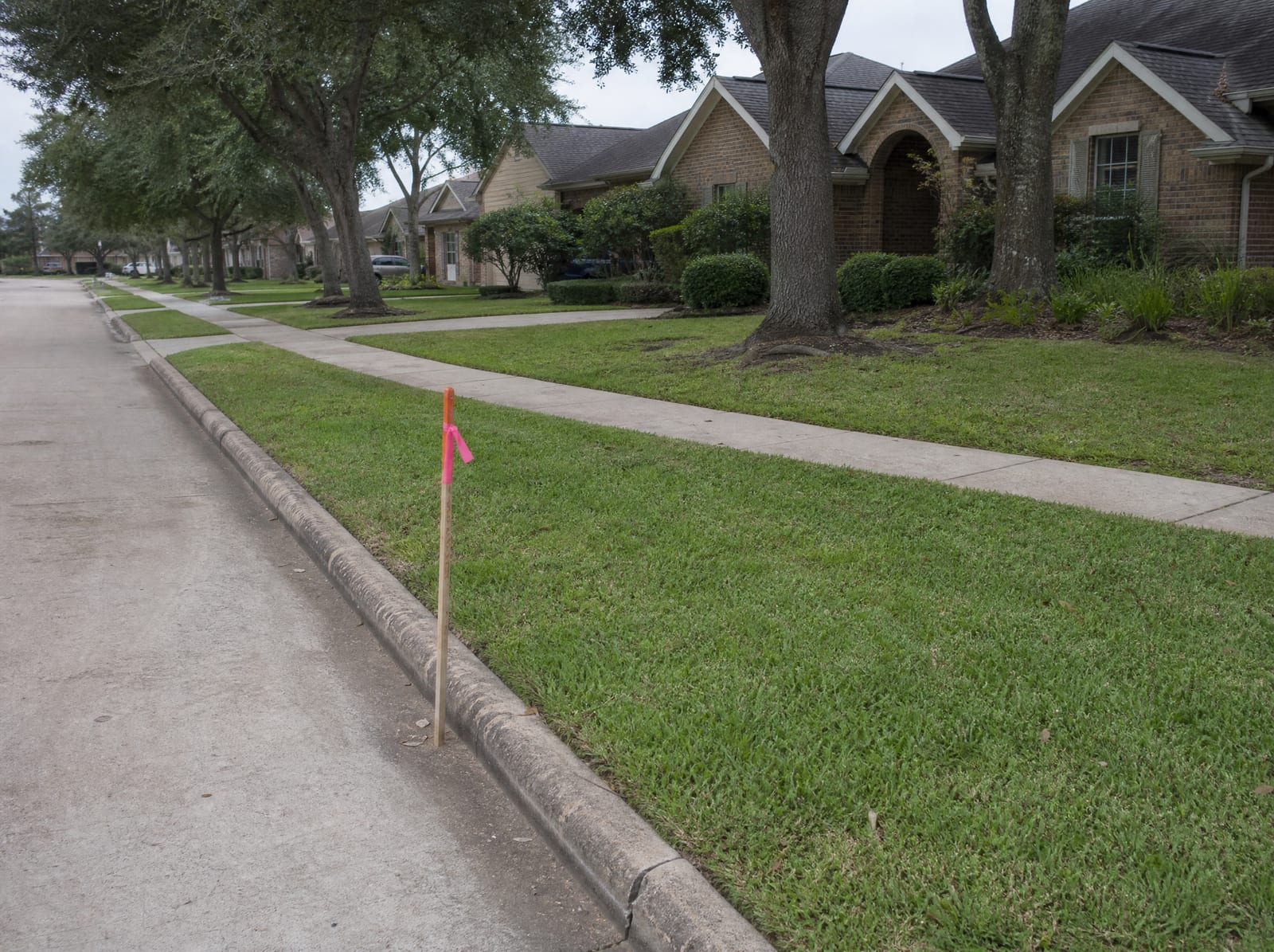A quiet established suburban Texas residential street of brick homes and mature shade trees, with a survey stake and right-of-way flag at the curb
