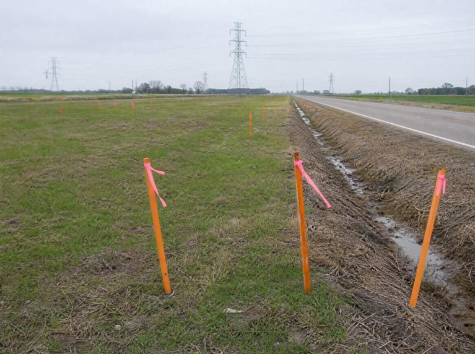 Orange survey stakes and pink right-of-way flags crossing a grassy Fort Bend County frontage tract beside a two-lane road near Arcola, Texas, with a roadside drainage ditch and distant transmission towers, showing road-widening right-of-way pressure