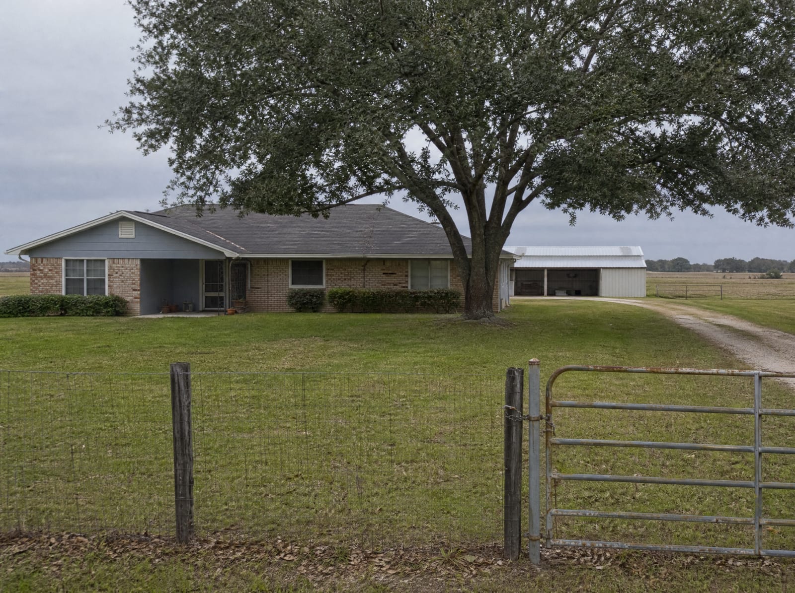 A modest single-story brick homestead on a large grassy Fort Bend County lot near Arcola, Texas, shaded by a mature live oak, with a metal carport, a gravel drive, a wire fence and gate, and open farmland beyond