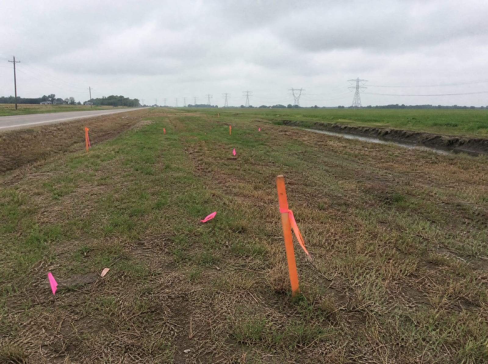 Orange survey stakes and pink right-of-way flags across a flat farm tract beside a rural road near Beasley, Texas, with a roadside drainage ditch and distant electric transmission towers, showing right-of-way acquisition pressure