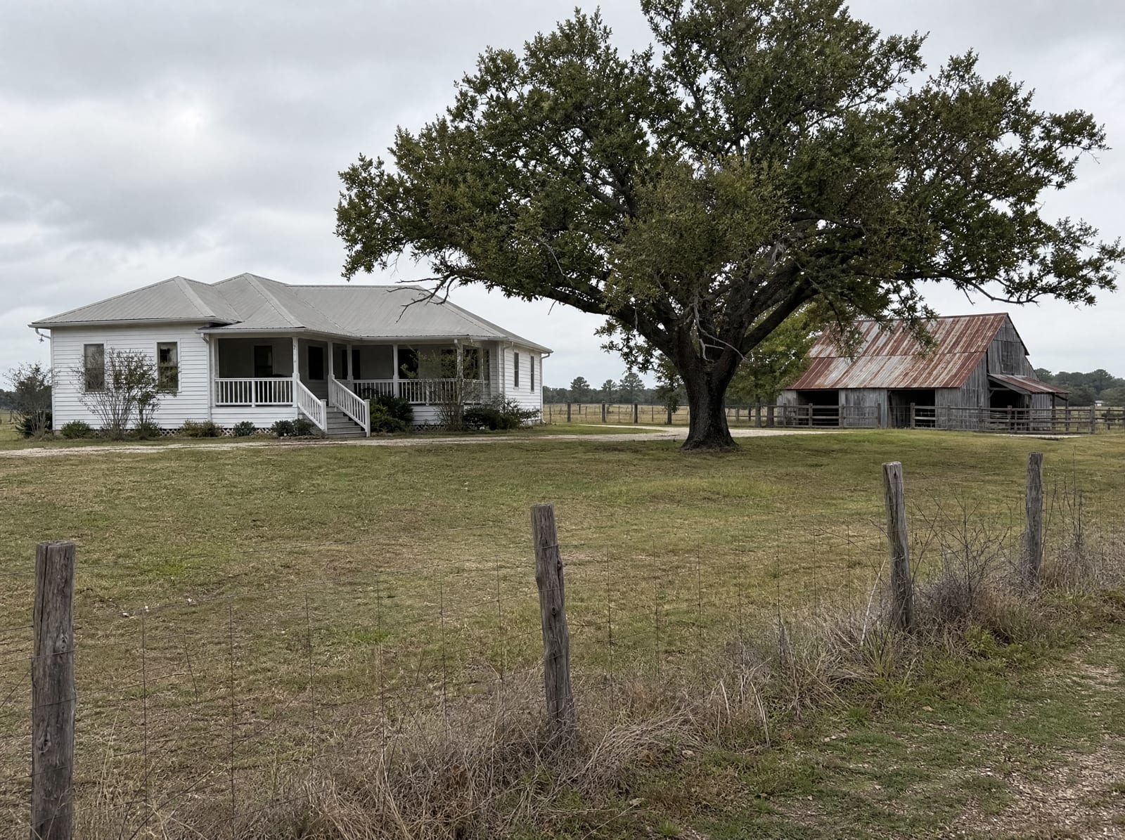A modest single-story Texas farmhouse on a large grassy acreage near Beasley in Fort Bend County, with a weathered barn, a mature live oak, a wire-and-post livestock fence, and open pasture beyond