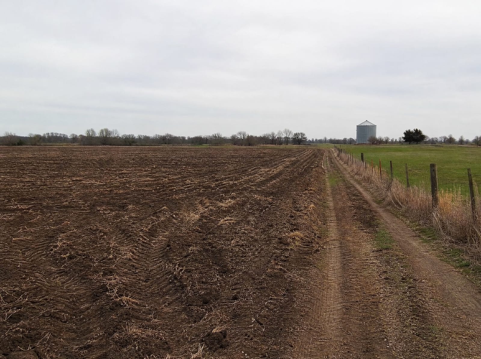 A broad flat Fort Bend County agricultural field near Beasley, Texas, with rows of worked soil meeting green pasture, a dirt farm track, a distant tree line, and a lone grain silo