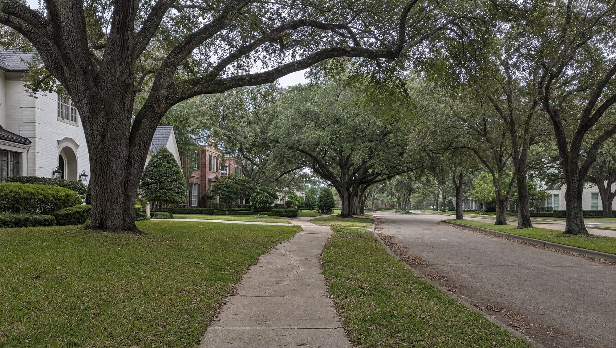 A leafy established inner-loop residential boulevard in Bellaire, Texas near Houston, with mature live oaks arching over a quiet street lined with larger brick and stucco custom homes, wide sidewalks, and manicured lawns under a big pale sky