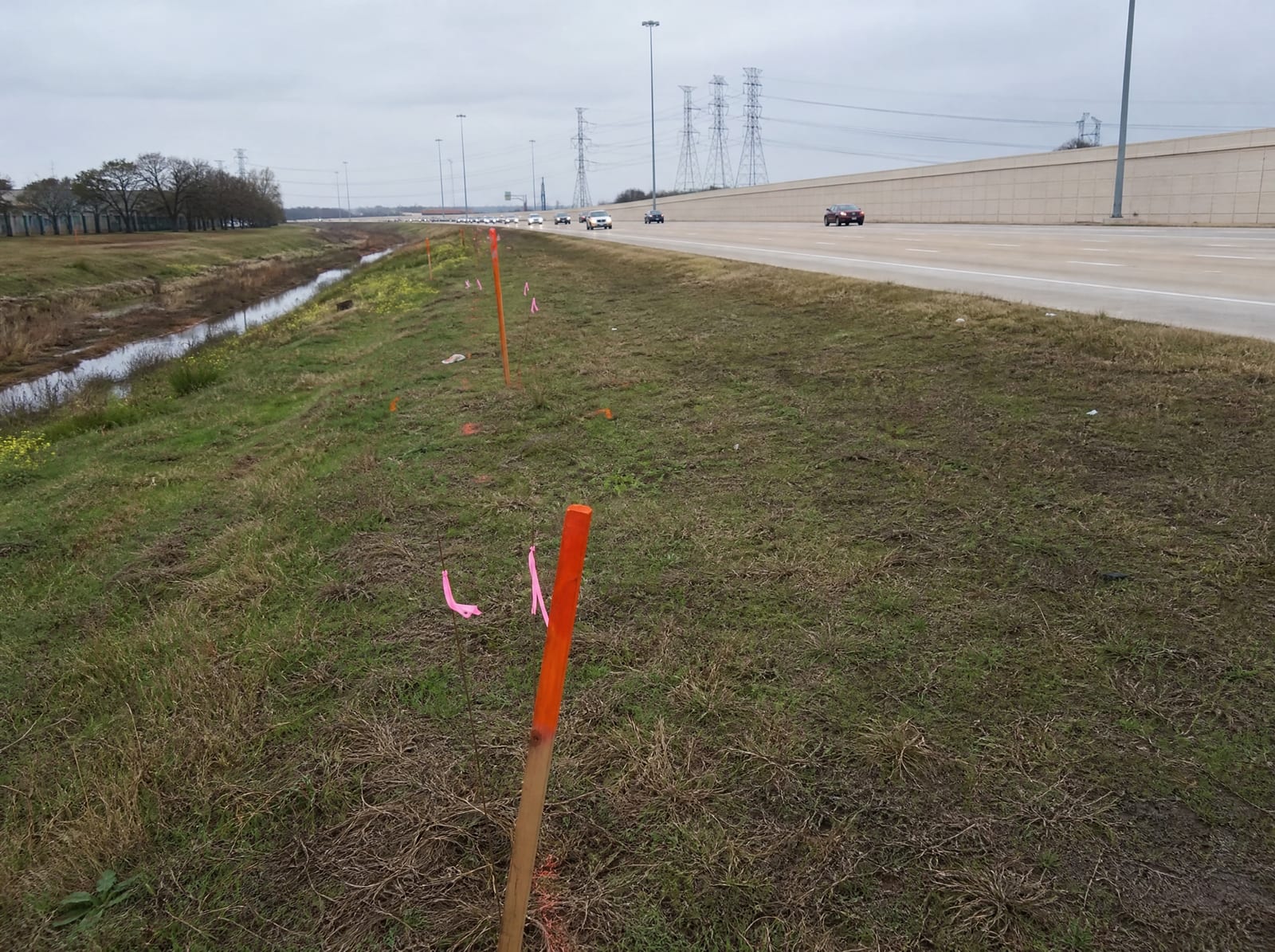 Orange survey stakes and pink right-of-way flags along a landscaped strip beside a widening multi-lane arterial near Cinco Ranch, Texas, with a concrete sound wall and distant transmission towers, showing right-of-way acquisition pressure