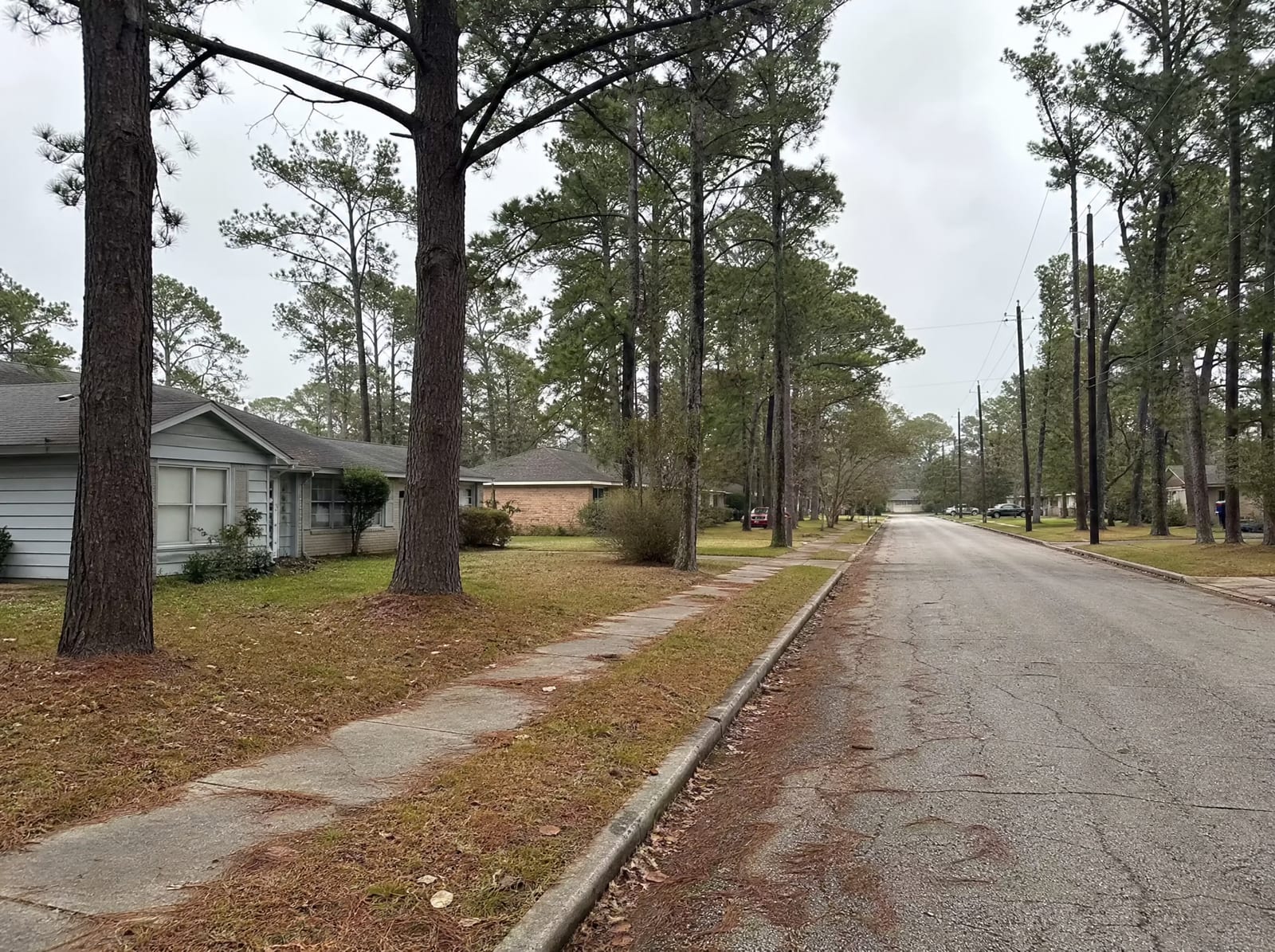 A quiet established residential street in Humble, Texas, with modest single-family homes among tall loblolly pine trees, front lawns, wide sidewalks, and utility poles under an overcast sky
