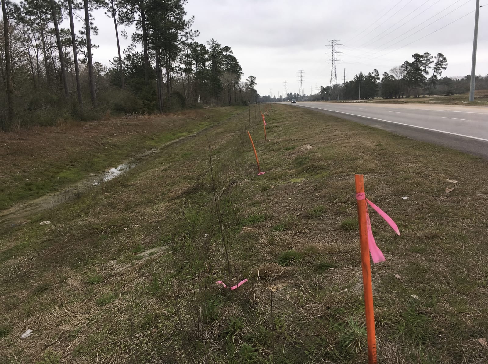 Orange survey stakes and pink right-of-way flags along a grassy strip beside a widening suburban arterial in Humble, Texas, with tall pine trees, distant transmission towers, and a drainage ditch, showing right-of-way acquisition pressure