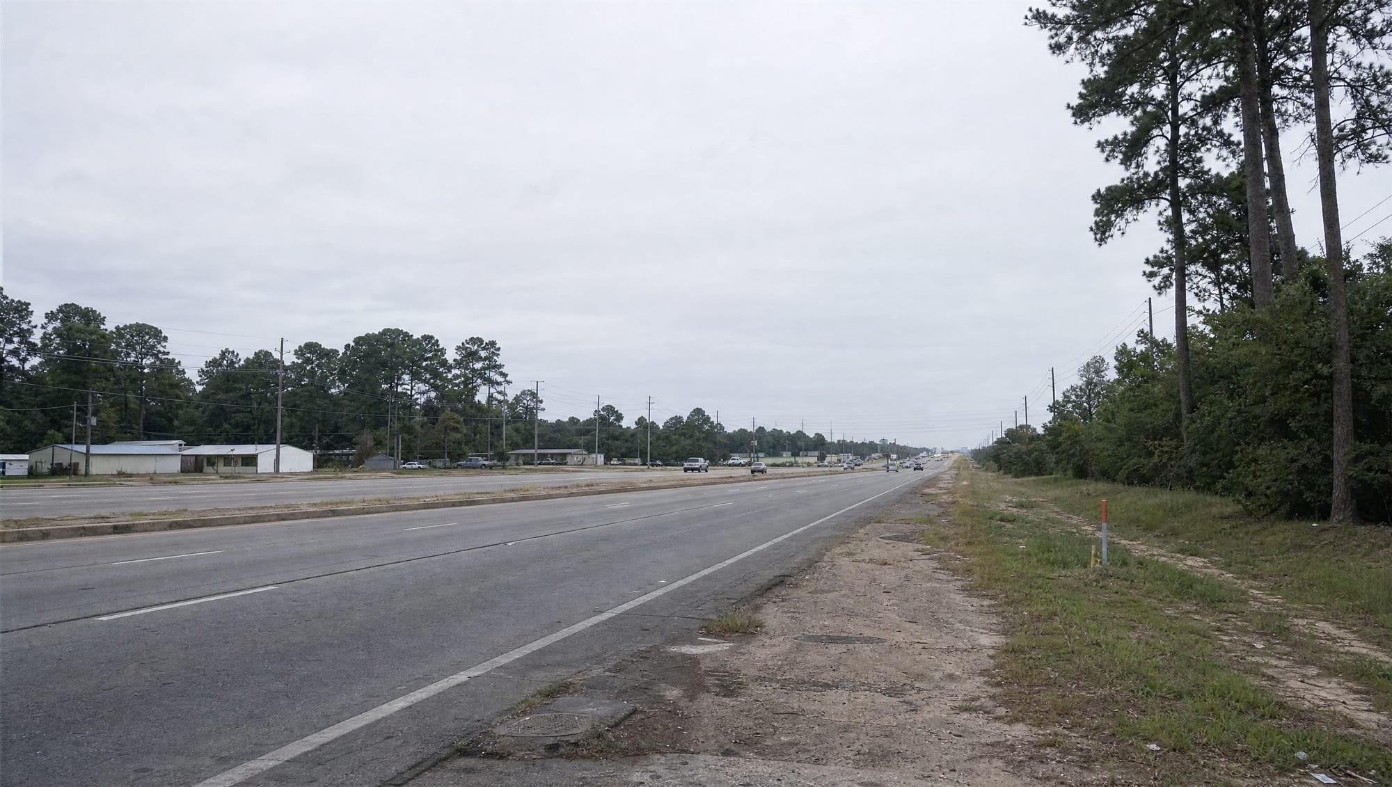 The US-59 Eastex Freeway corridor through Humble in northeast Harris County, Texas, a wide multi-lane highway with low commercial frontage, suburban development, and tall loblolly pine trees along the edges under a big pale sky