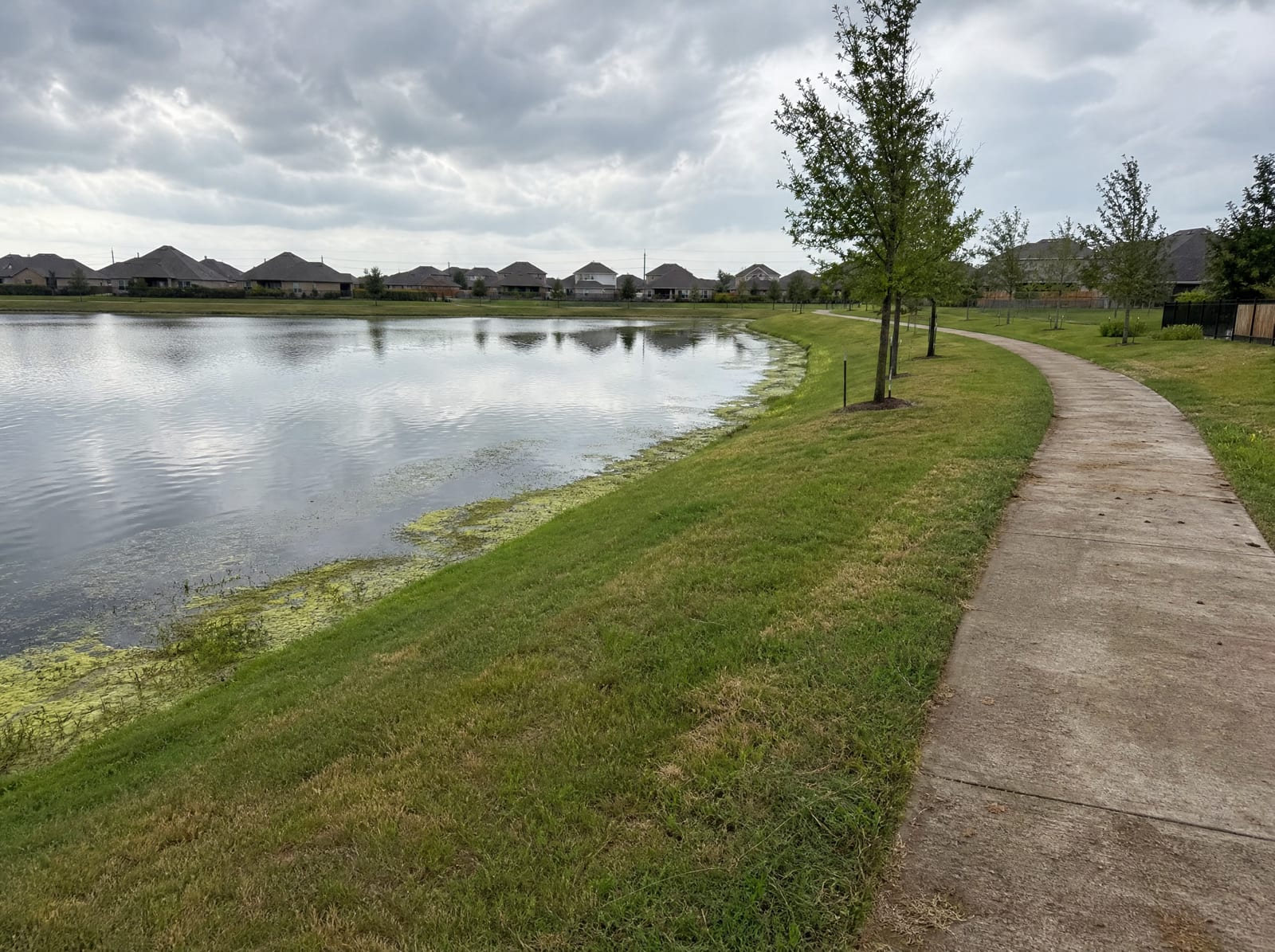A landscaped retention lake in a master-planned Katy, Texas community, with manicured grassy banks, a paved walking path, young trees, and modern suburban rooftops beyond under an overcast sky