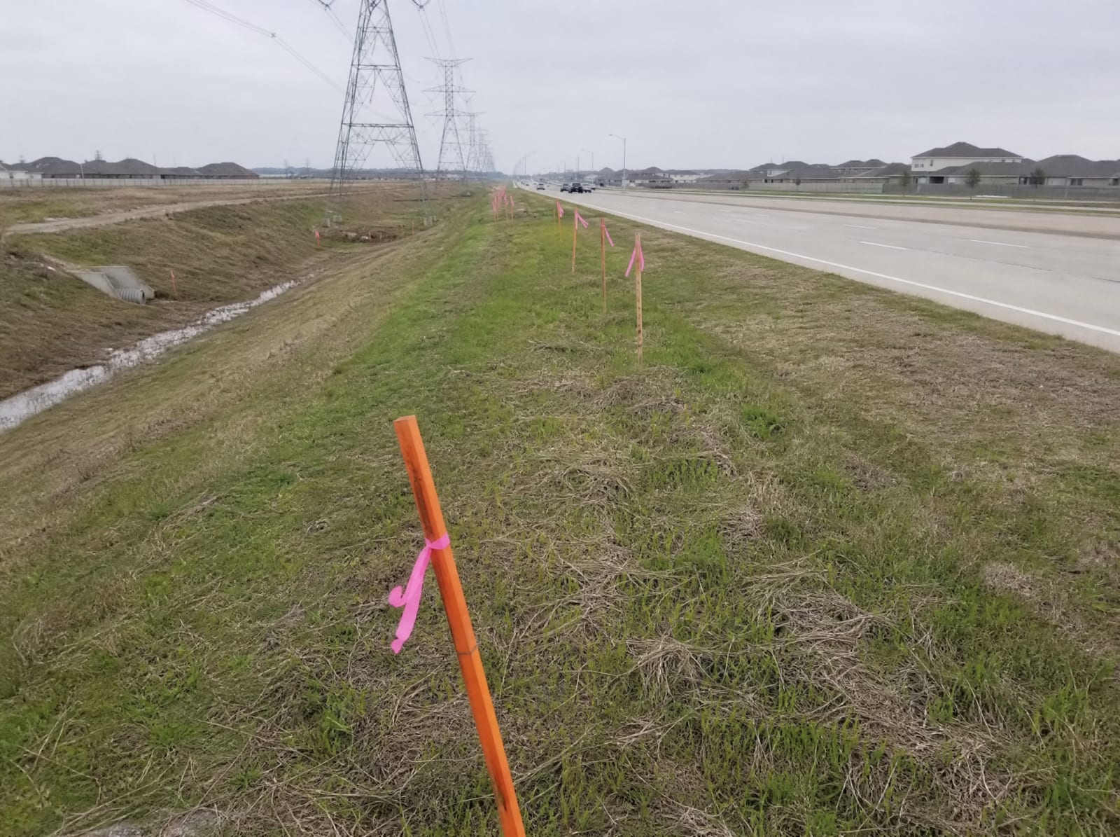 Orange survey stakes and pink right-of-way flags along a grassy strip beside a widening suburban arterial in Missouri City, Texas, with distant transmission towers and a drainage ditch, showing right-of-way acquisition pressure