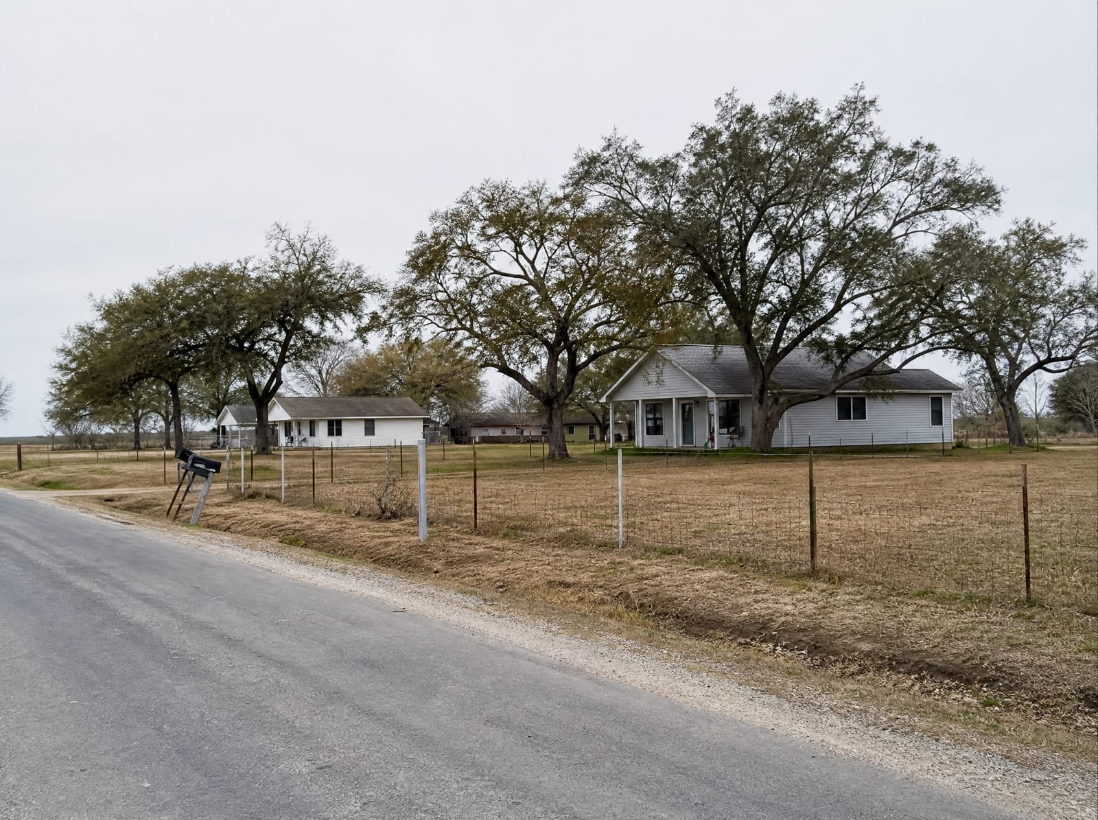 Modest single-family homes along a country road on the edge of Needville, Texas in Fort Bend County, with open farmland and pasture behind, scattered live oaks, and a wire fence