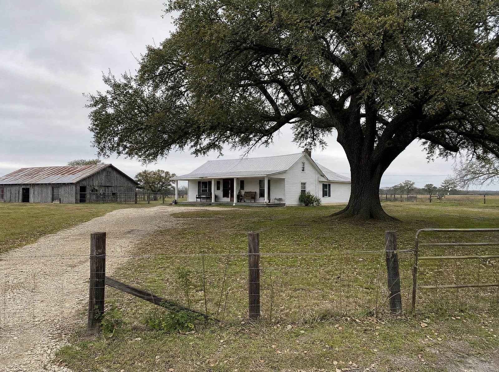 A modest single-story Texas farmhouse on a large grassy acreage near Needville in Fort Bend County, with a weathered barn, a mature live oak, a wire-and-post livestock fence, and open pasture beyond