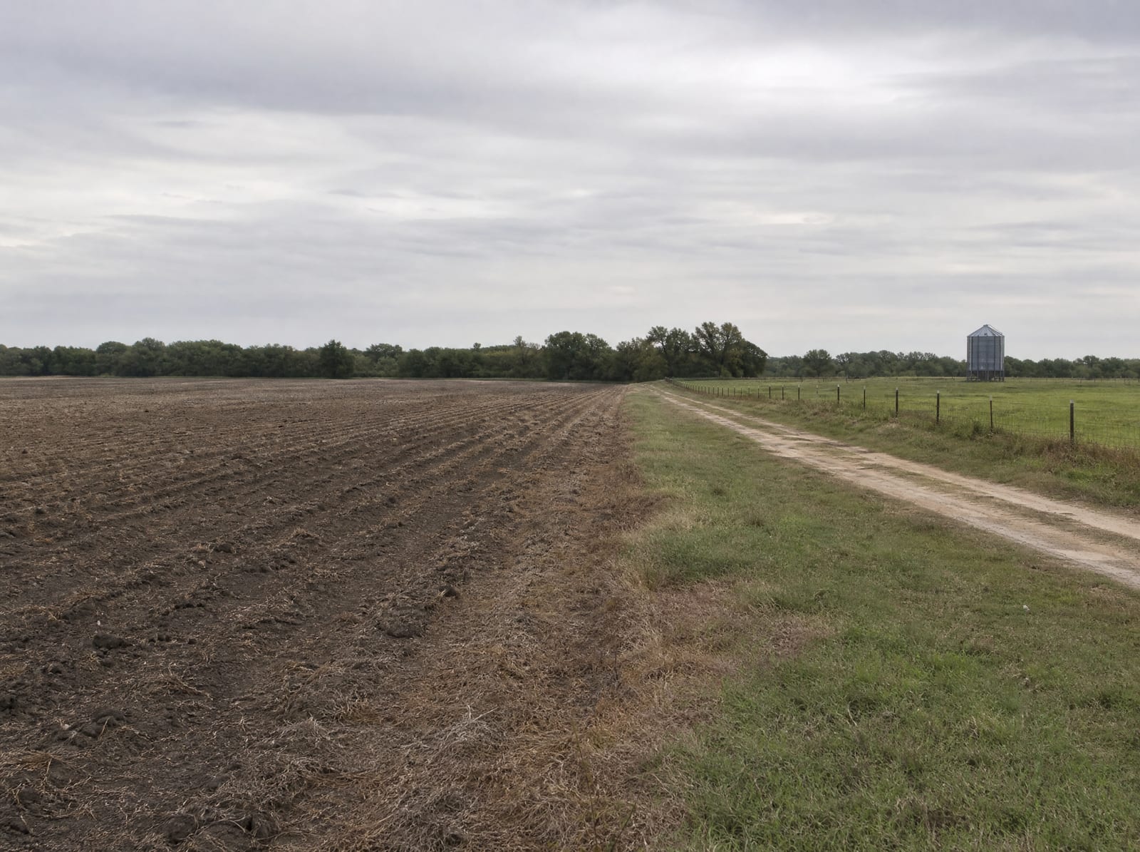 A broad flat Fort Bend County agricultural field near Needville, Texas, with rows of worked soil meeting green pasture, a dirt farm track, a distant tree line, and a lone grain silo
