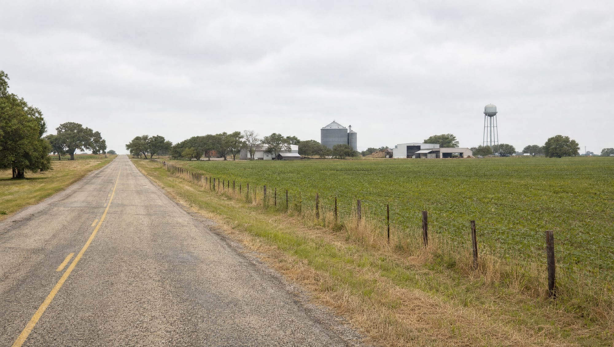 A two-lane farm-to-market road running through flat Fort Bend County cropland and pasture near the farming town of Needville, Texas, with a working farmstead, a grain silo, barns, and a water tower, a wire fence, and scattered live oaks under a pale overcast sky