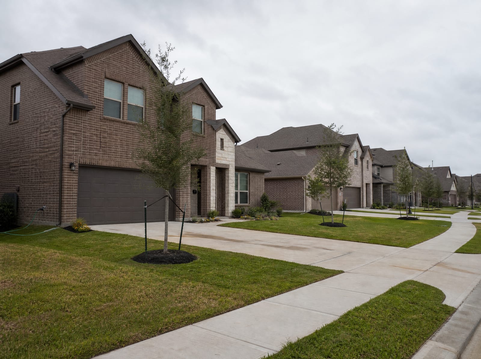 A quiet newer suburban residential street in Pearland, Texas, with two-story brick homes, manicured lawns, young landscaped trees, wide sidewalks, and a curbed street under an overcast sky