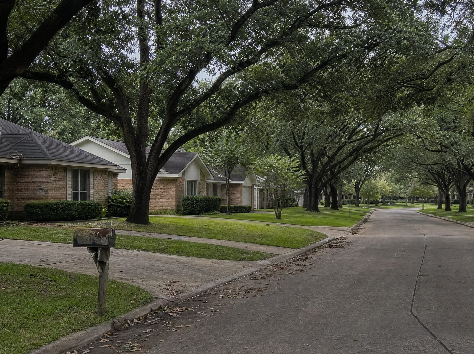 A quiet tree-lined residential street of modest single-family homes shaded by mature live oaks in an established Richmond, Texas neighborhood under a soft overcast sky