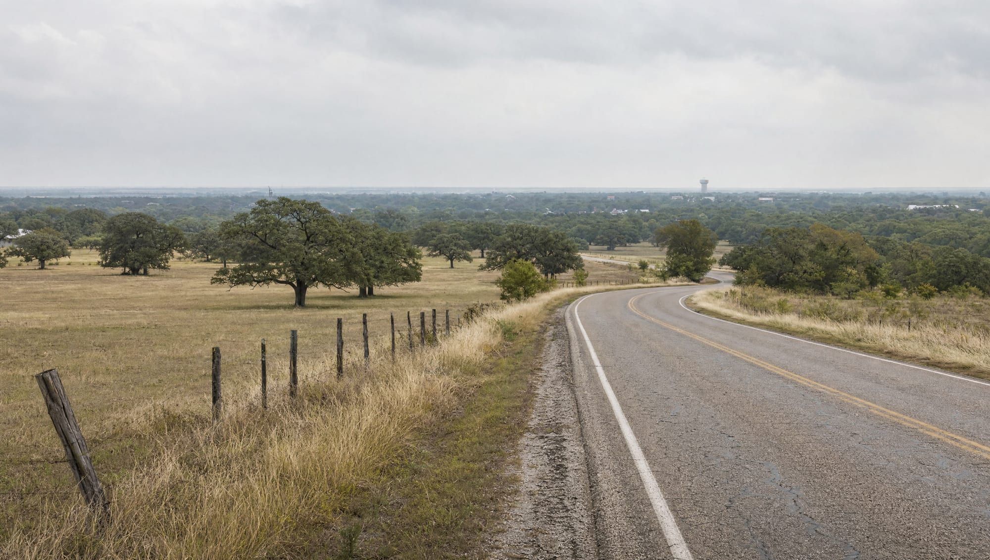 A two-lane Texas farm-to-market road curving through open Fort Bend County grassland with scattered live oaks and a distant Brazos-corridor tree line under a soft overcast sky near Richmond, Texas