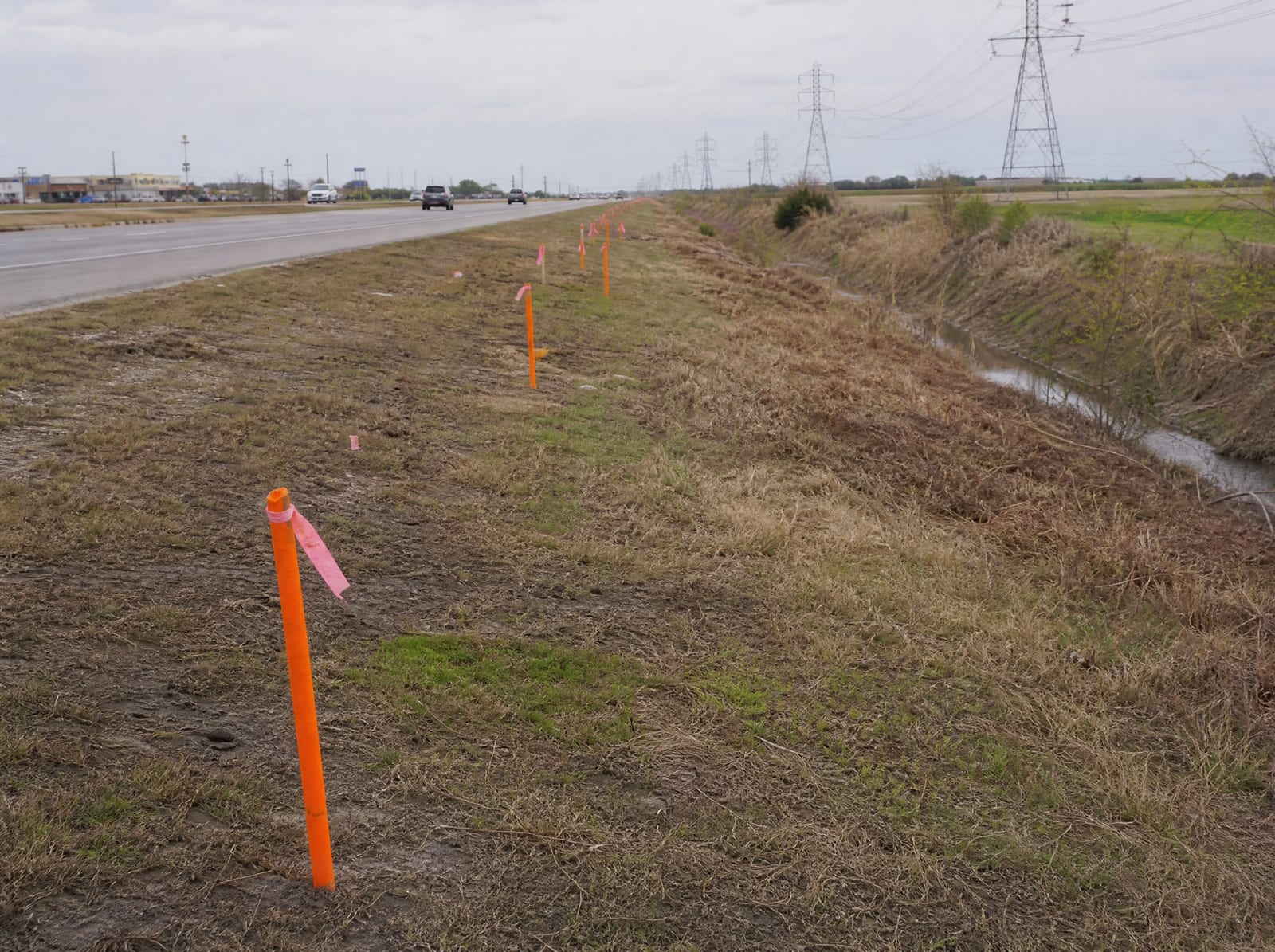Orange survey stakes and pink right-of-way flags across a grassy frontage strip beside a divided state highway near Rosenberg, Texas, with distant transmission towers and a drainage ditch, showing right-of-way acquisition pressure