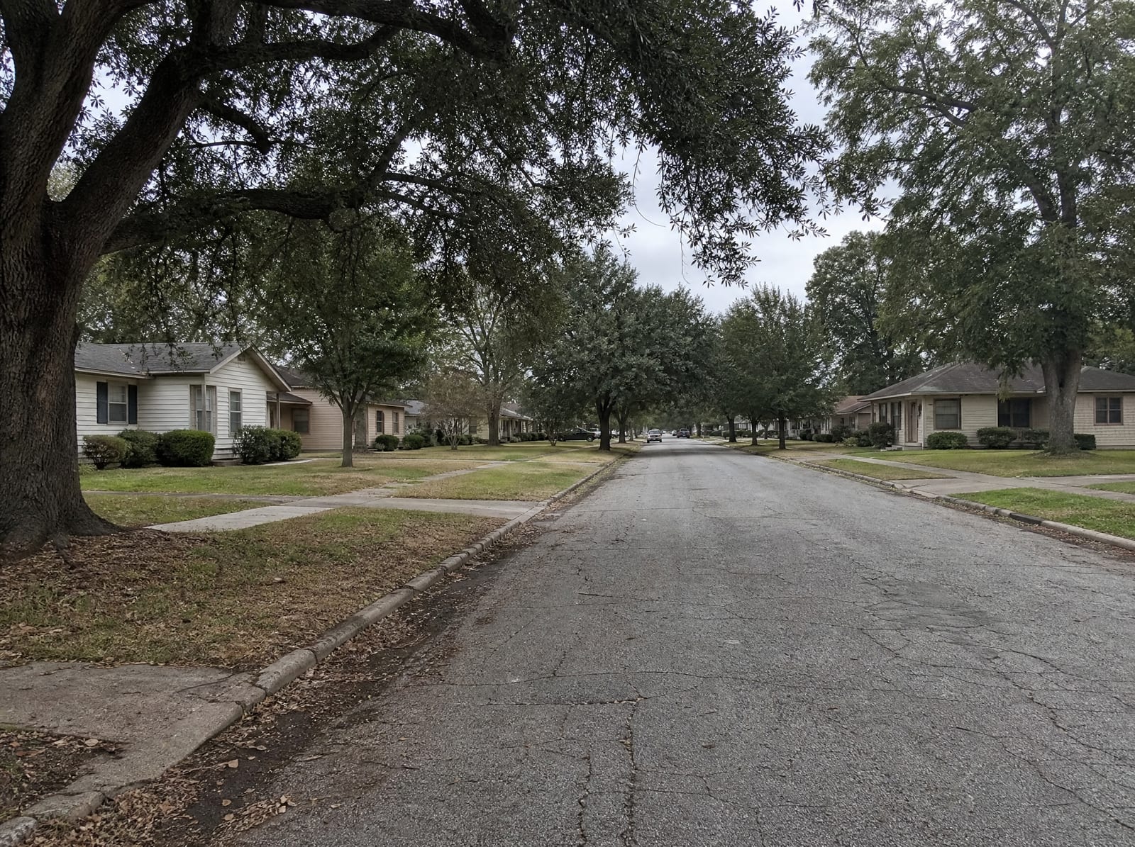 A quiet established residential street in Rosenberg, Texas, with modest mid-century single-family homes shaded by mature live oaks and pecan trees along a cracked asphalt street under an overcast sky