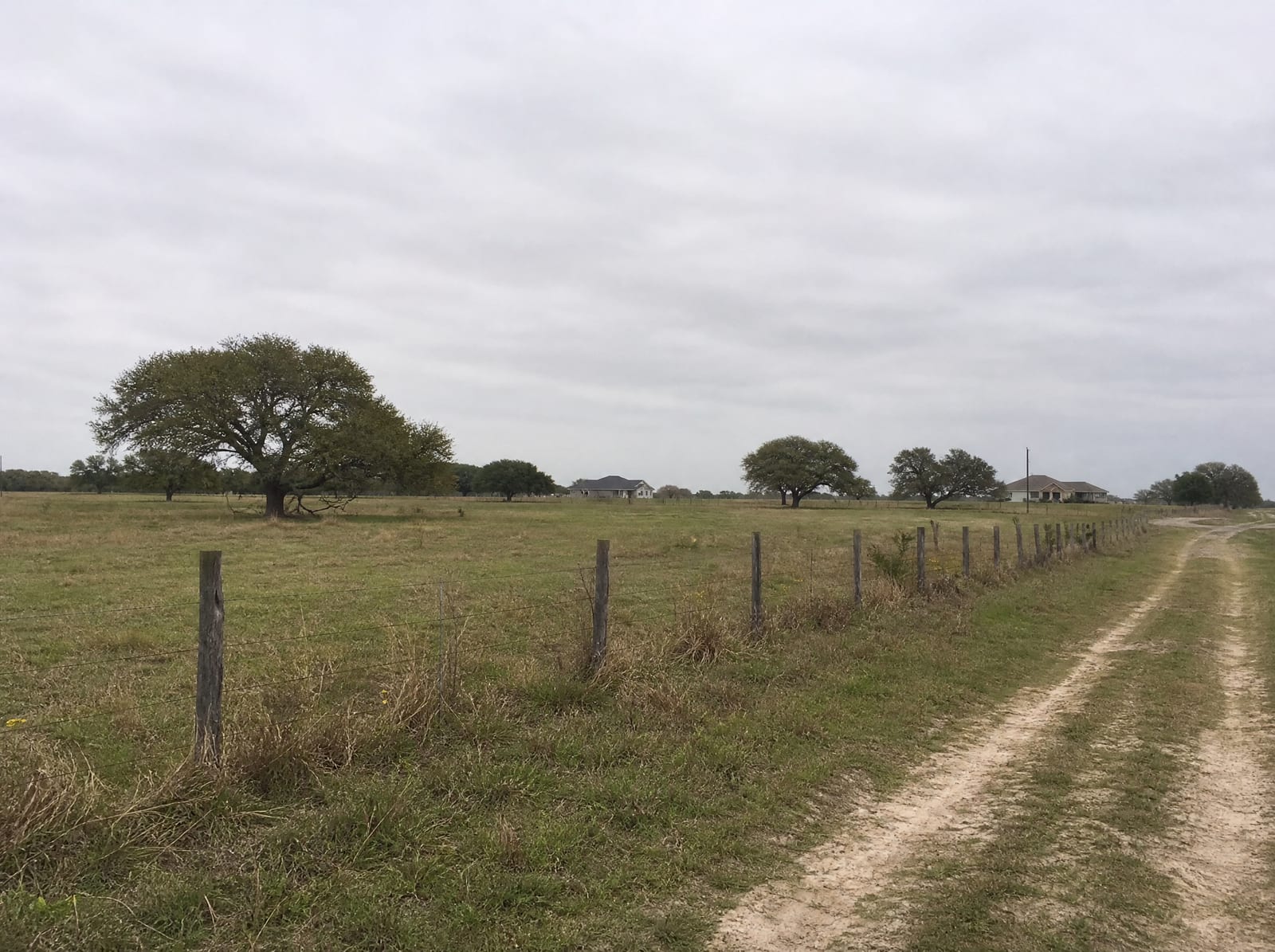 Flat open Fort Bend County pasture and farmland on the rural edge of Rosenberg, Texas, with a wire-and-post fence line, scattered live oaks, and a few distant modest homes under a pale overcast sky