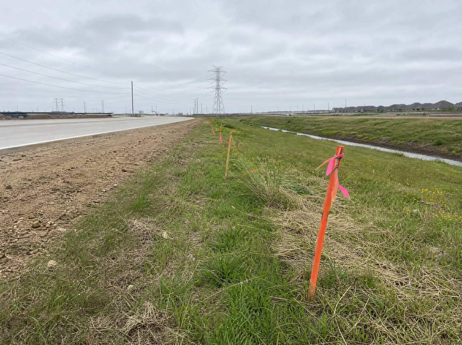 Orange survey stakes and pink right-of-way flags along a grassy strip beside a widening suburban arterial near Sienna in the Missouri City, Texas area, with distant transmission towers and a drainage swale, showing right-of-way acquisition pressure