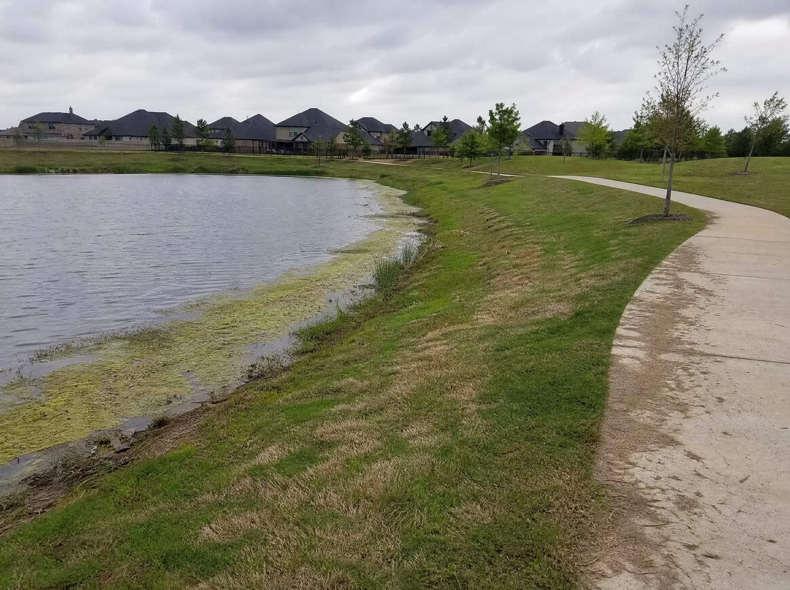 A large landscaped community lake in the Sienna master-planned development near Missouri City, Texas, with manicured grassy banks, a paved walking trail, young trees, and newer suburban rooftops beyond under an overcast sky
