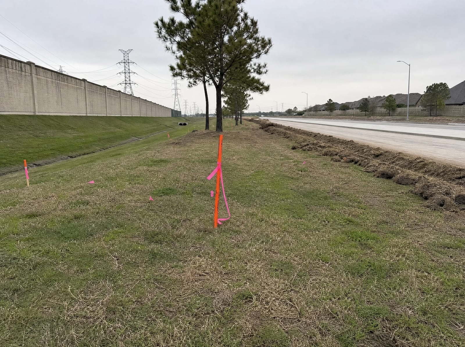 Orange survey stakes and pink right-of-way flags along a landscaped strip beside a widening suburban arterial in Sugar Land, Texas, with a concrete sound wall and distant transmission towers, showing right-of-way acquisition pressure