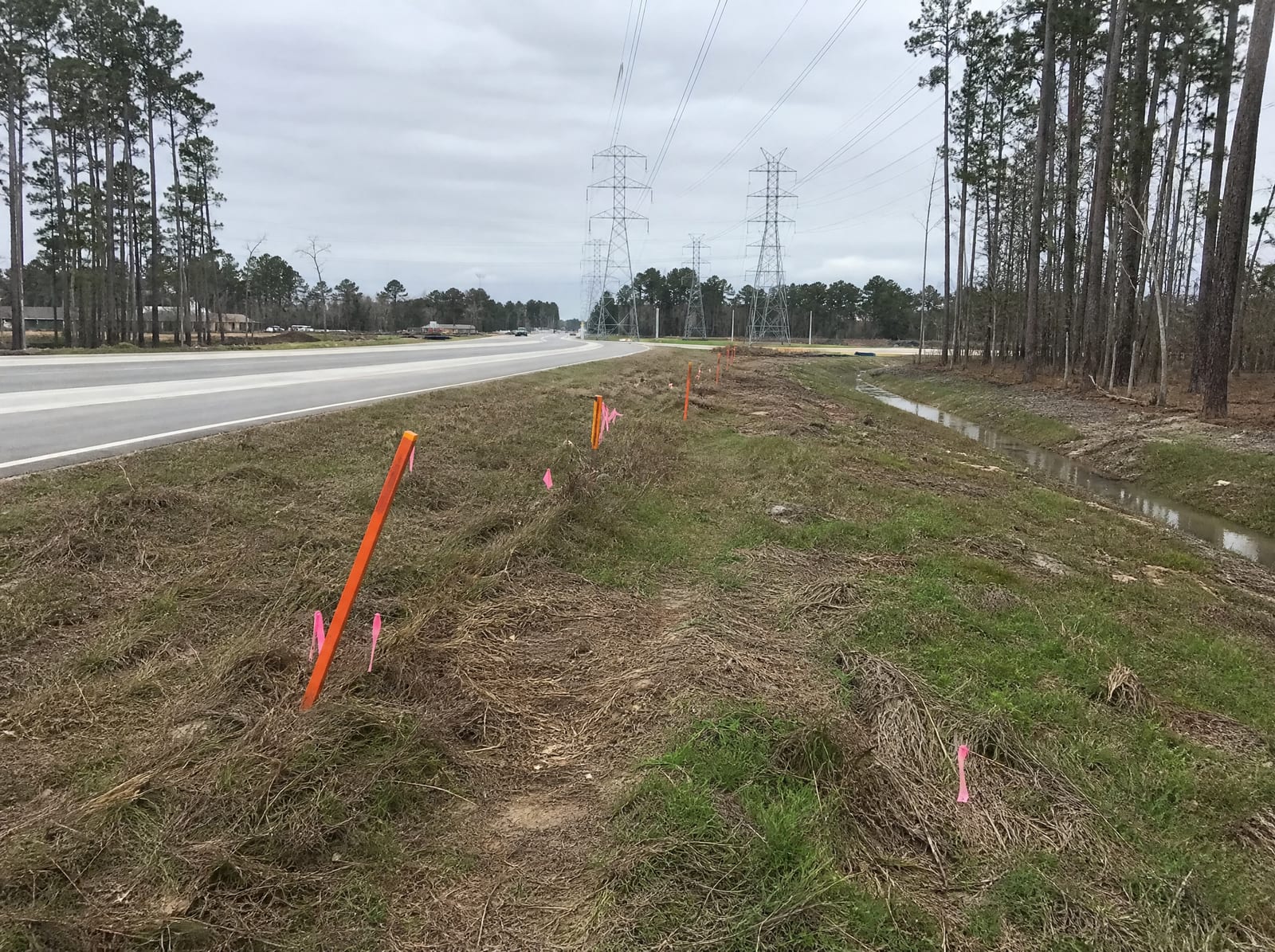Orange survey stakes and pink right-of-way flags along a grassy strip beside a widening suburban arterial near Tomball, Texas, with tall pine trees, distant transmission towers, and a drainage ditch, showing right-of-way acquisition pressure