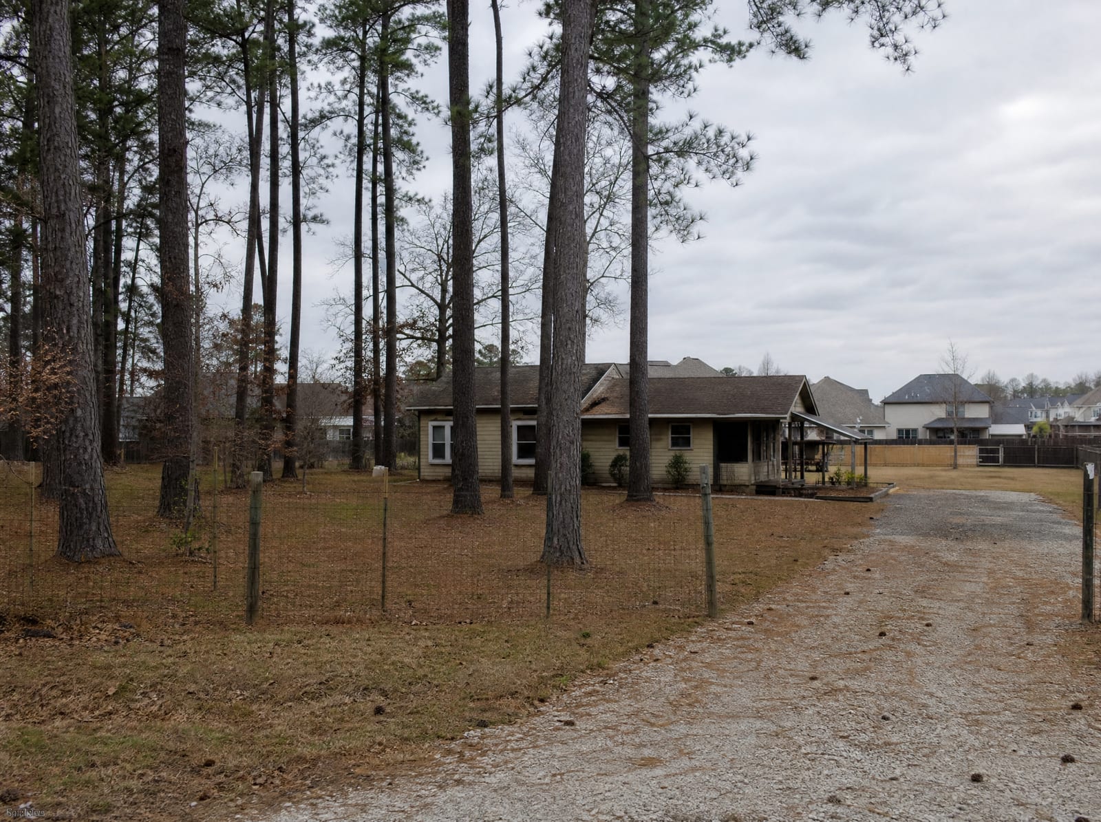 A modest home on a wooded acreage lot on the rural-suburban edge of Tomball, Texas, with tall loblolly pine trees, newer suburban rooftops beyond, a wire fence, and a gravel driveway under an overcast sky